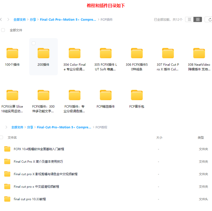 图片[2]-Apple Final Cut Pro X 中文教程+精选插件（26.39GB+124.81GB）-果果音源网