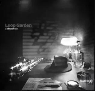 Loop Garden Collection 02 WAV KONTAKT 综合音源库 支持系统：Windowns MAC 音源厂商-果果音源网